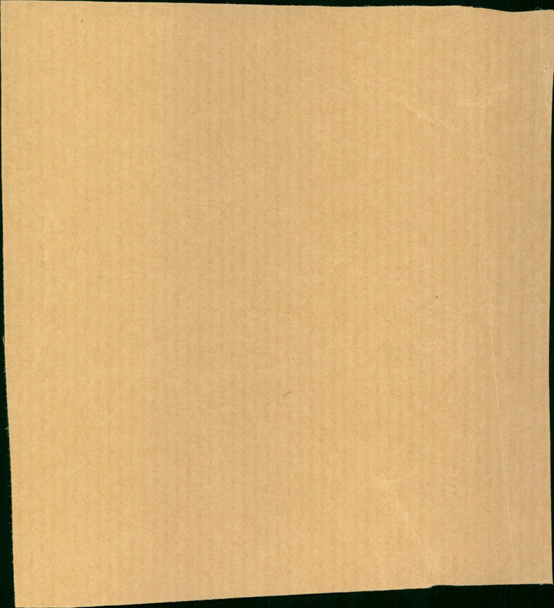 Elaine Delmar - Vintage Photograph