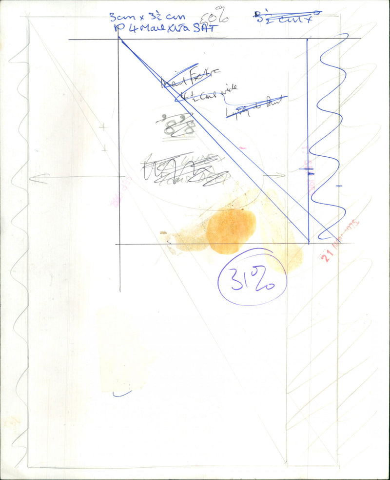 Lynsey de Paul - Vintage Photograph