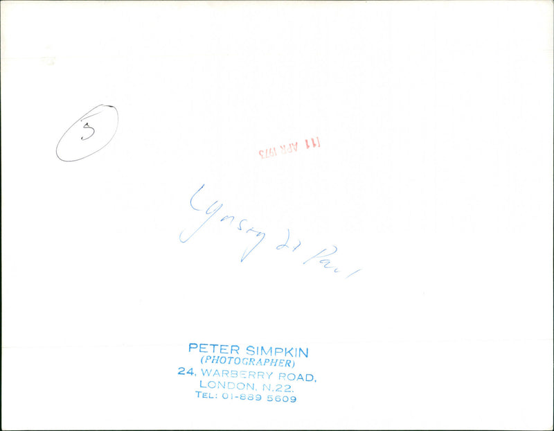 Lynsey de Paul - Vintage Photograph