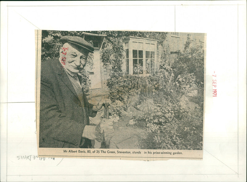 Albert Davis - Vintage Photograph