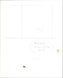 Roger Daltrey - Vintage Photograph