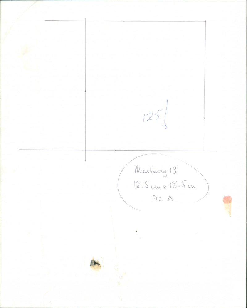 Roger Daltrey - Vintage Photograph