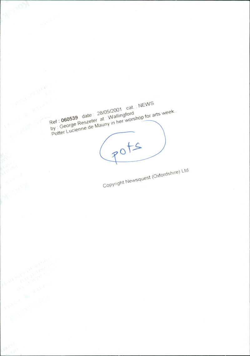 Lucienne de Mauny - Vintage Photograph