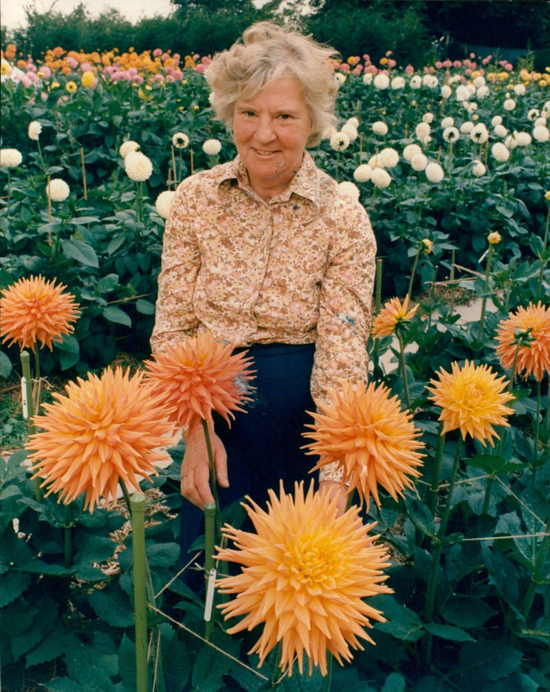 June Davis - Vintage Photograph