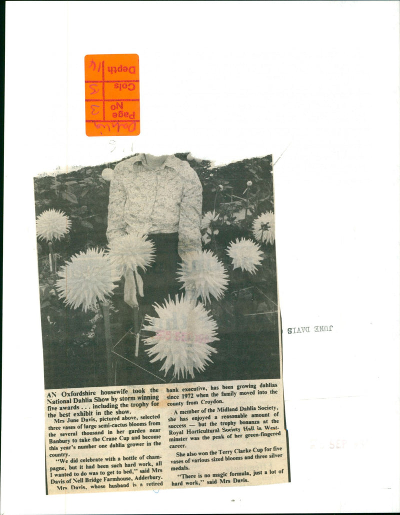 June Davis - Vintage Photograph