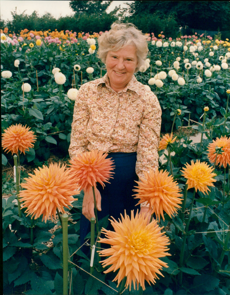 June Davis - Vintage Photograph