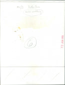 Michael Bidmead - Vintage Photograph