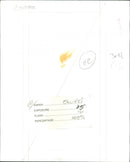 Jason Donovan - Vintage Photograph