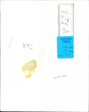 Musicians Andy Partridge, Barry Andrews, and Colin Moulding from the band XTC - Vintage Photograph