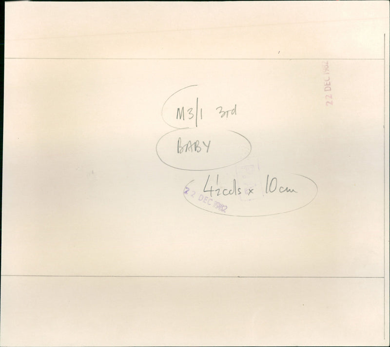 Princes William with Prince and Princess of Wales - Vintage Photograph