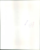 Prince William - Vintage Photograph