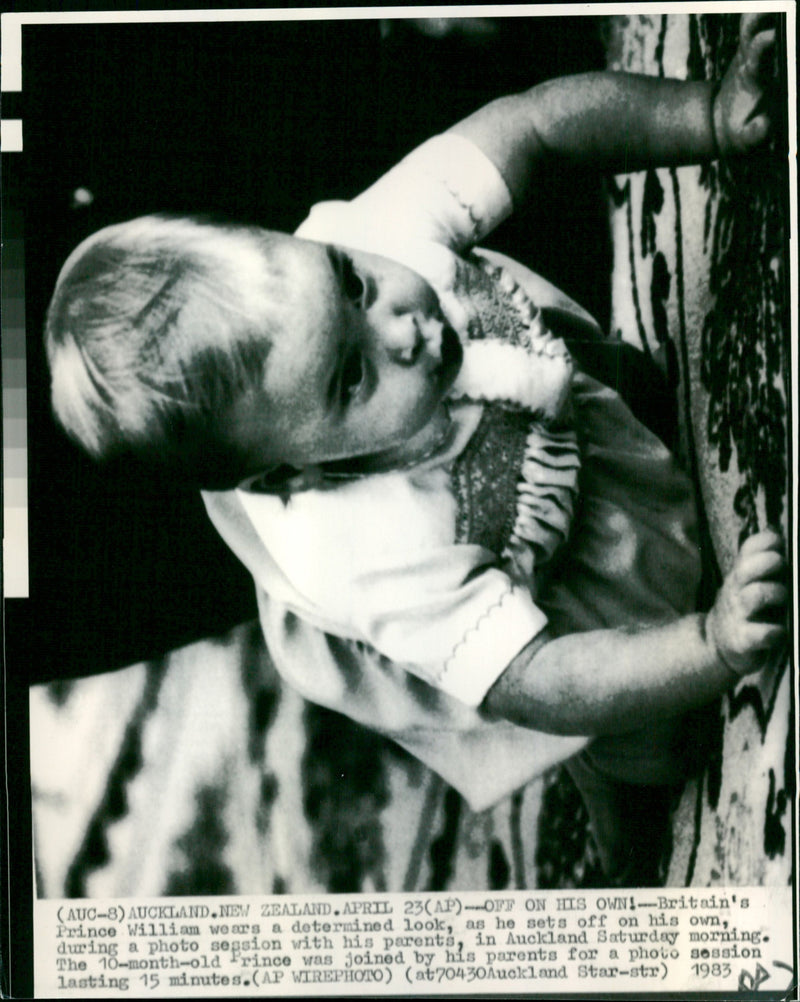 Prince William - Vintage Photograph