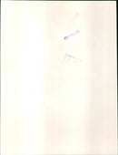 Barbra Streisand and Elliot Gould - Vintage Photograph