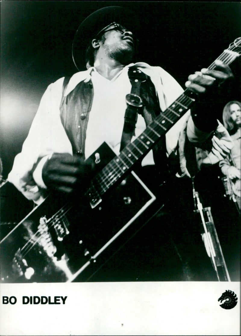 Legendary rock and roll musician Bo Diddley performing onstage. - Vintage Photograph