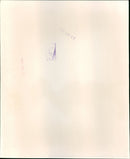 Prince William and Prince Charles - Vintage Photograph