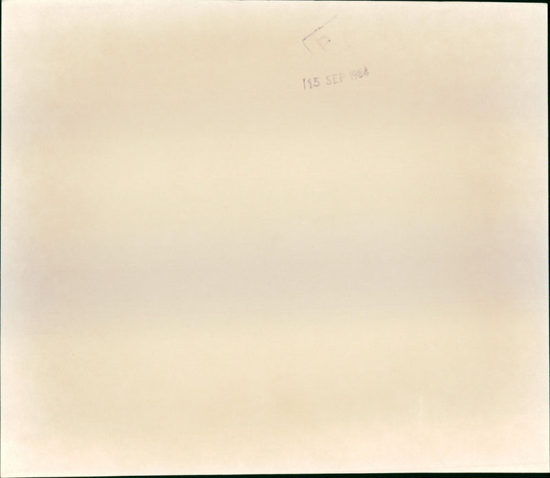 Prince and Princess of Wales - Vintage Photograph