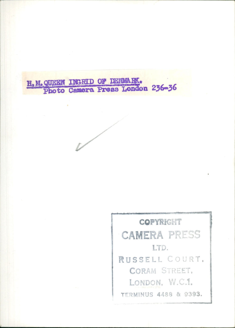 Queen Ingrid of Denmark - Vintage Photograph