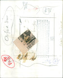 Barbra Streisand - Vintage Photograph