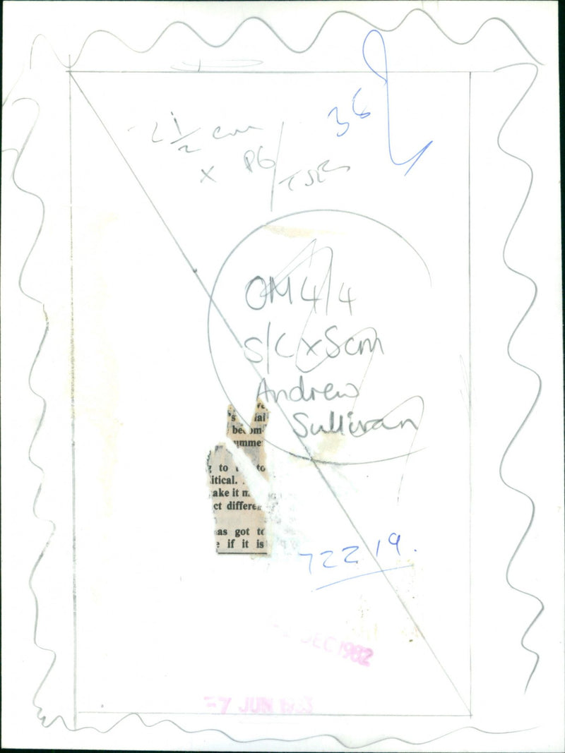 Andrew Sullivan delivers a speech at a political rally. - Vintage Photograph