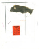 Barbra Streisand - Vintage Photograph