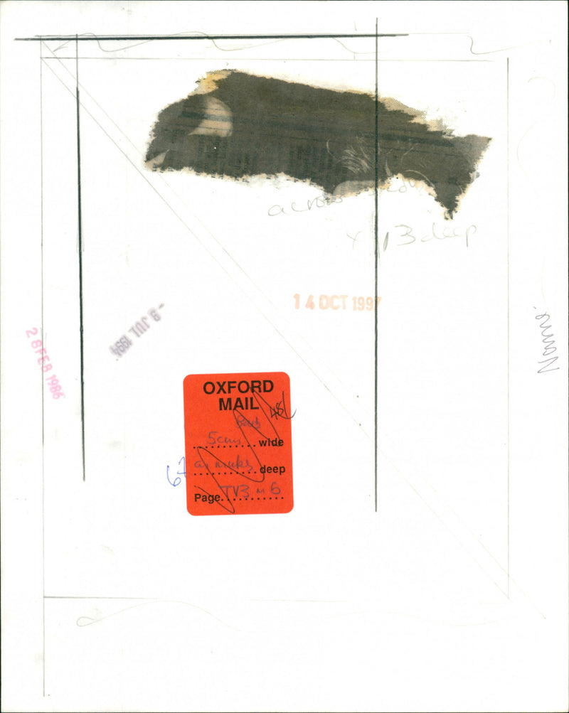 Barbra Streisand - Vintage Photograph