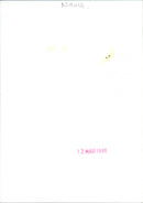 Robin Williamson - Vintage Photograph