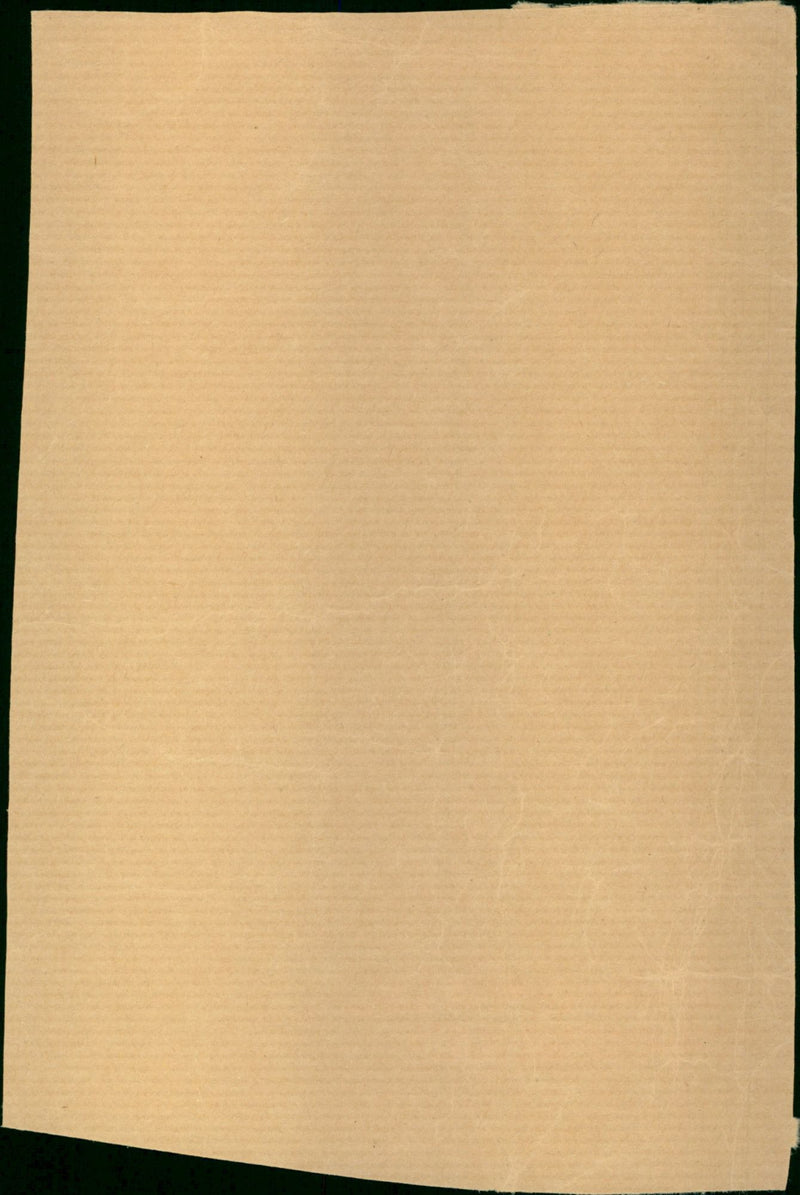 Hatswen Wayne - Vintage Photograph