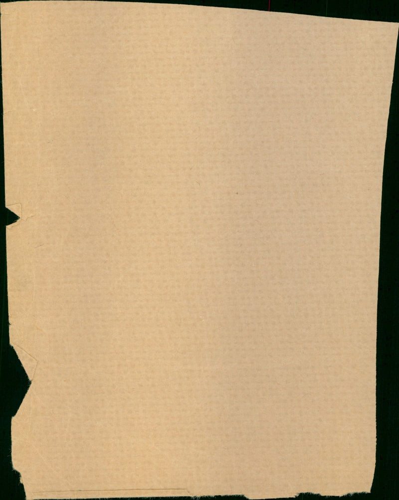 Hauwe pat van den - Vintage Photograph