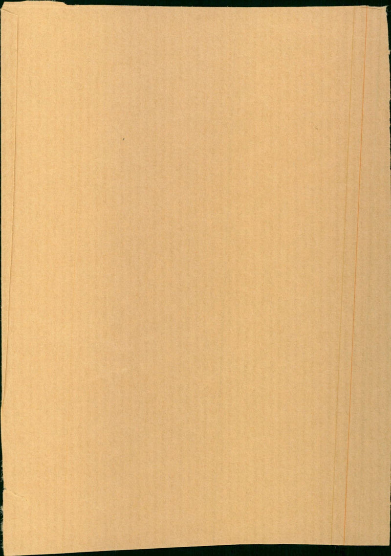 Williamson Lisa - Vintage Photograph