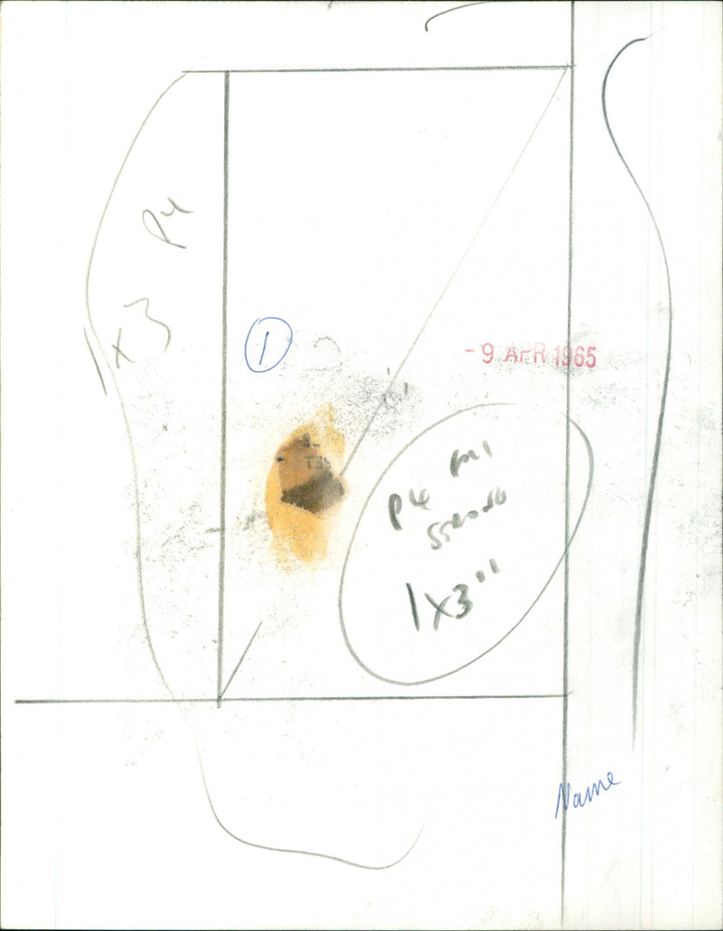 Veronica Strong - Vintage Photograph