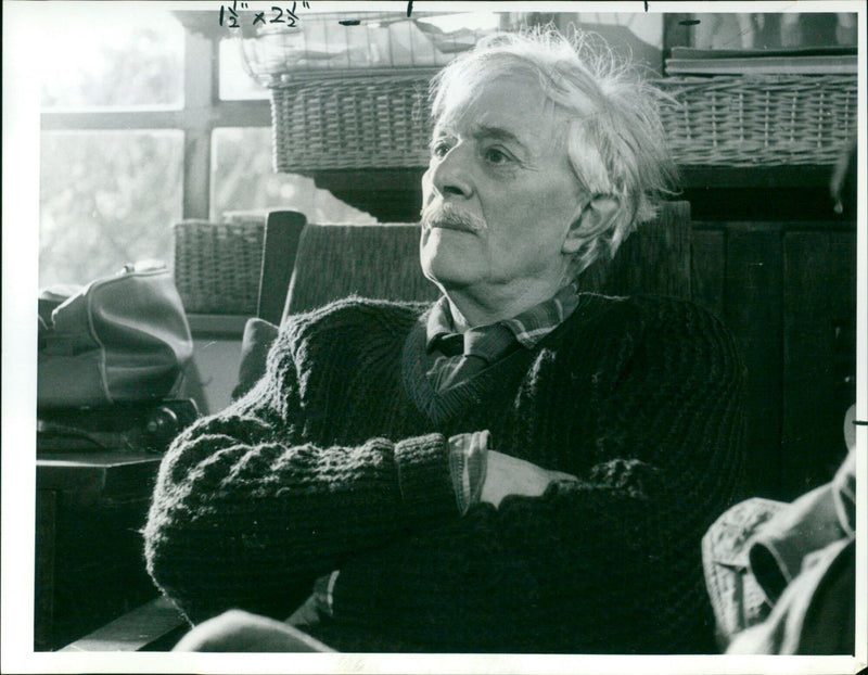 Henry Williamson - Vintage Photograph