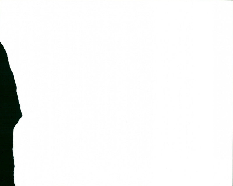 The Who - Vintage Photograph