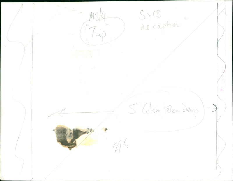 Tony Williamson - Vintage Photograph