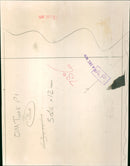 Post Concert chaos - Vintage Photograph