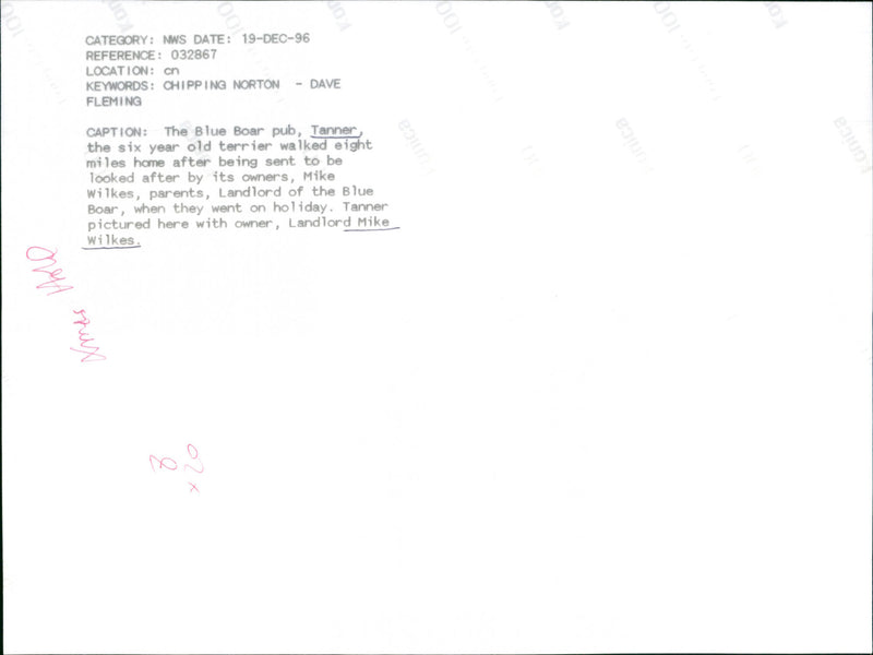 Mike Wilkes with dog 'Tanner' - Vintage Photograph