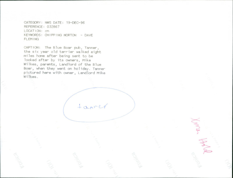 Mike Wilkes with dog 'Tanner' - Vintage Photograph