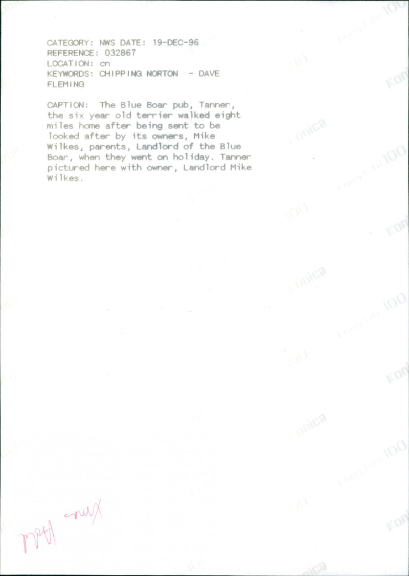 Mike Wilkes with dog 'Tanner' - Vintage Photograph