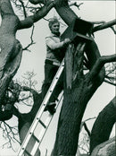 Mike Willicombe - Vintage Photograph