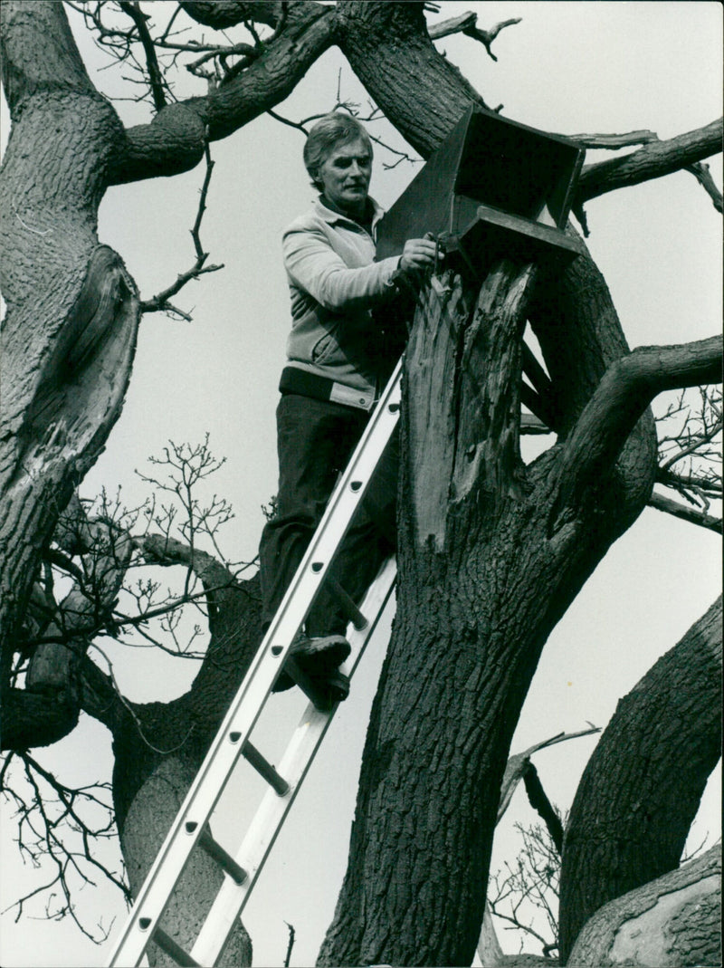 Mike Willicombe - Vintage Photograph