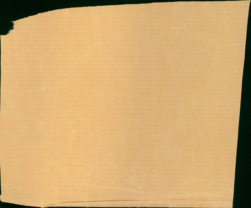 Who the - Vintage Photograph