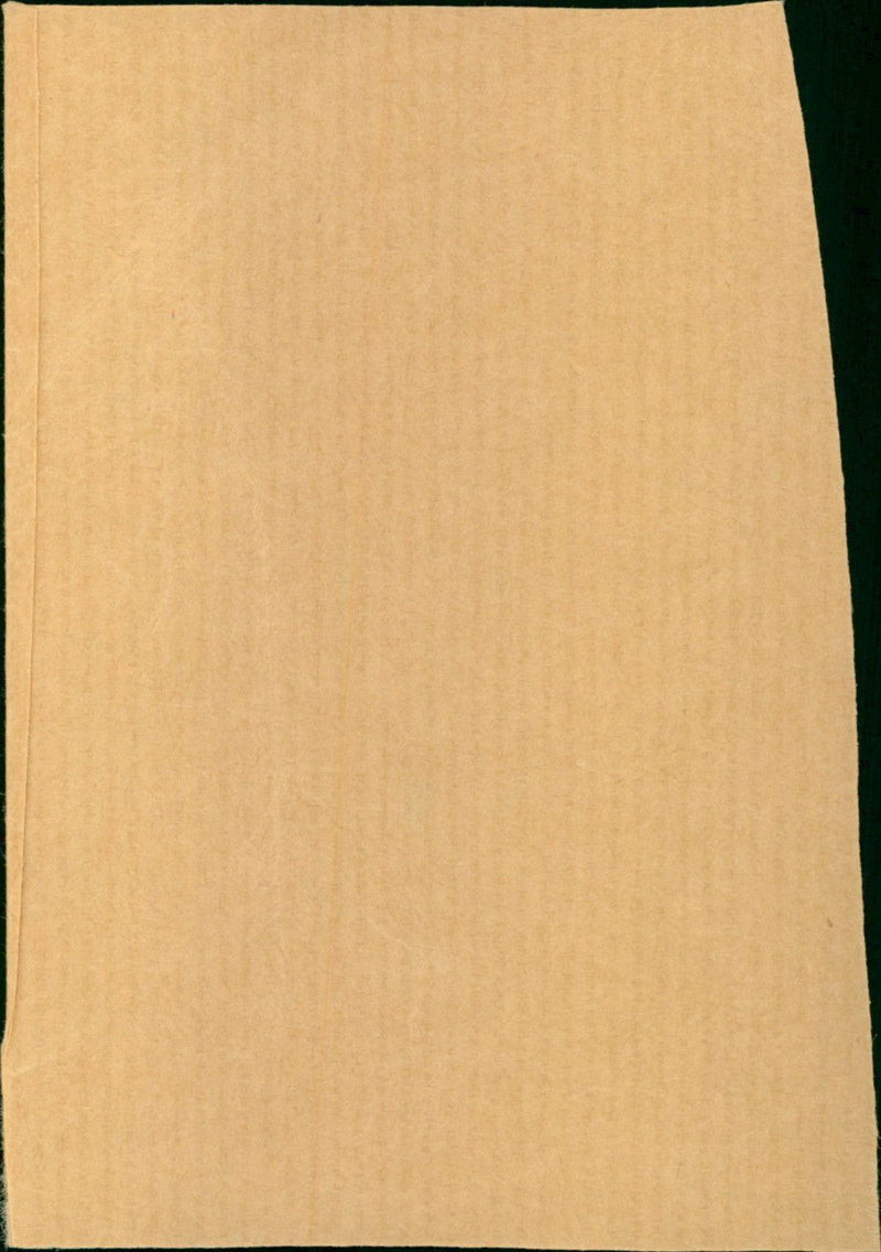 Lisa Whiteside - Vintage Photograph