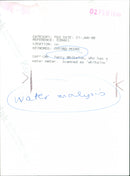 Terry Whitelow, who has a water meter scanned as "Whitelow" - Vintage Photograph