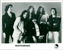Whitesnake - Vintage Photograph