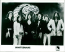 Whitesnake - Vintage Photograph