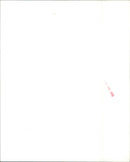 Whitesnake - Vintage Photograph