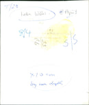 Helen Willis - Vintage Photograph