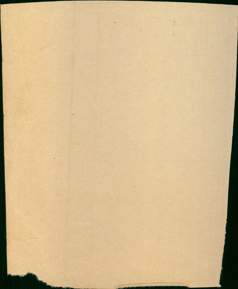 Whitesnake Pop group - Vintage Photograph