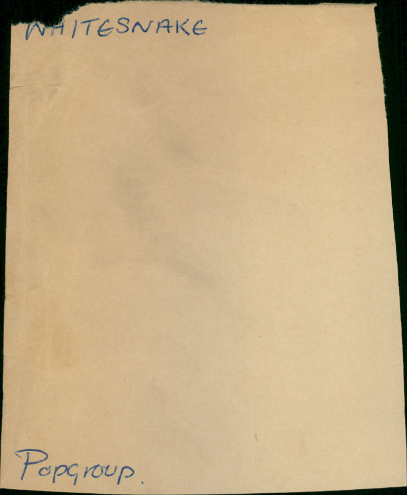 Whitesnake Pop group - Vintage Photograph