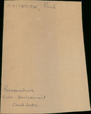 Whiteside Paul - Vintage Photograph