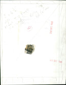 Billie Whitelaw - Vintage Photograph